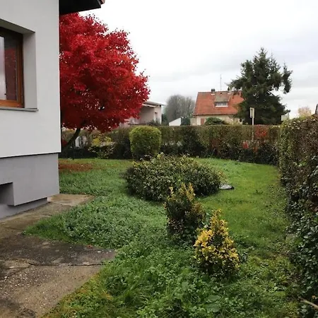 {La Parenthese Heureuse}, Proche Bale, Rhin, Foret Kembs Esterno foto