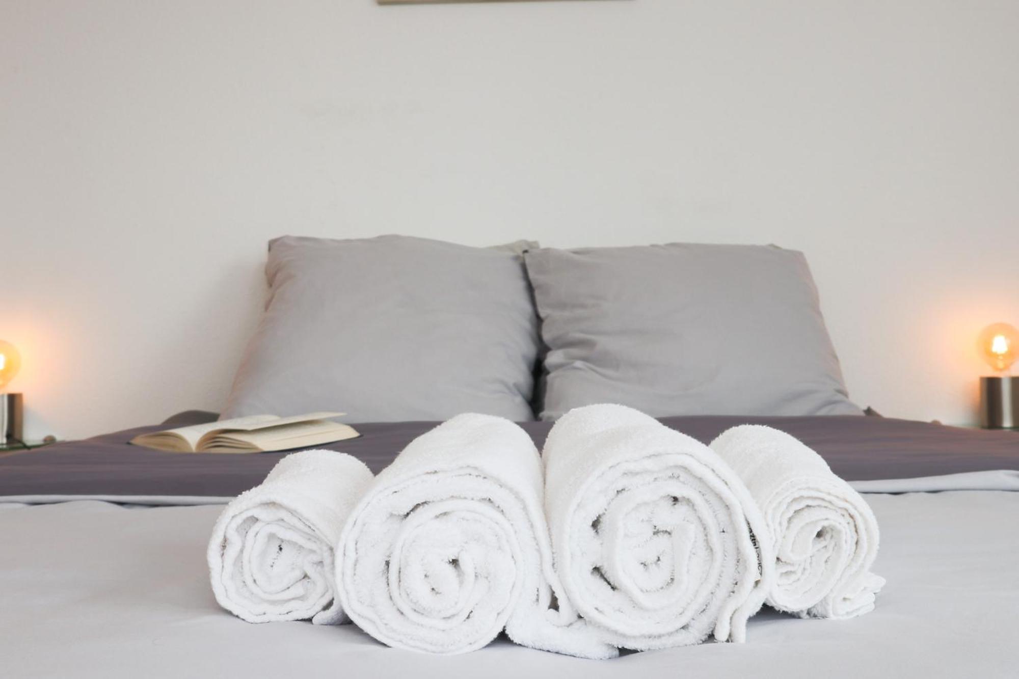 Apartment {la Parenthese Heureuse}, Proche Bale, Rhin, Foret *